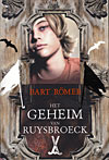 Het Geheim Van Ruysbroeck
